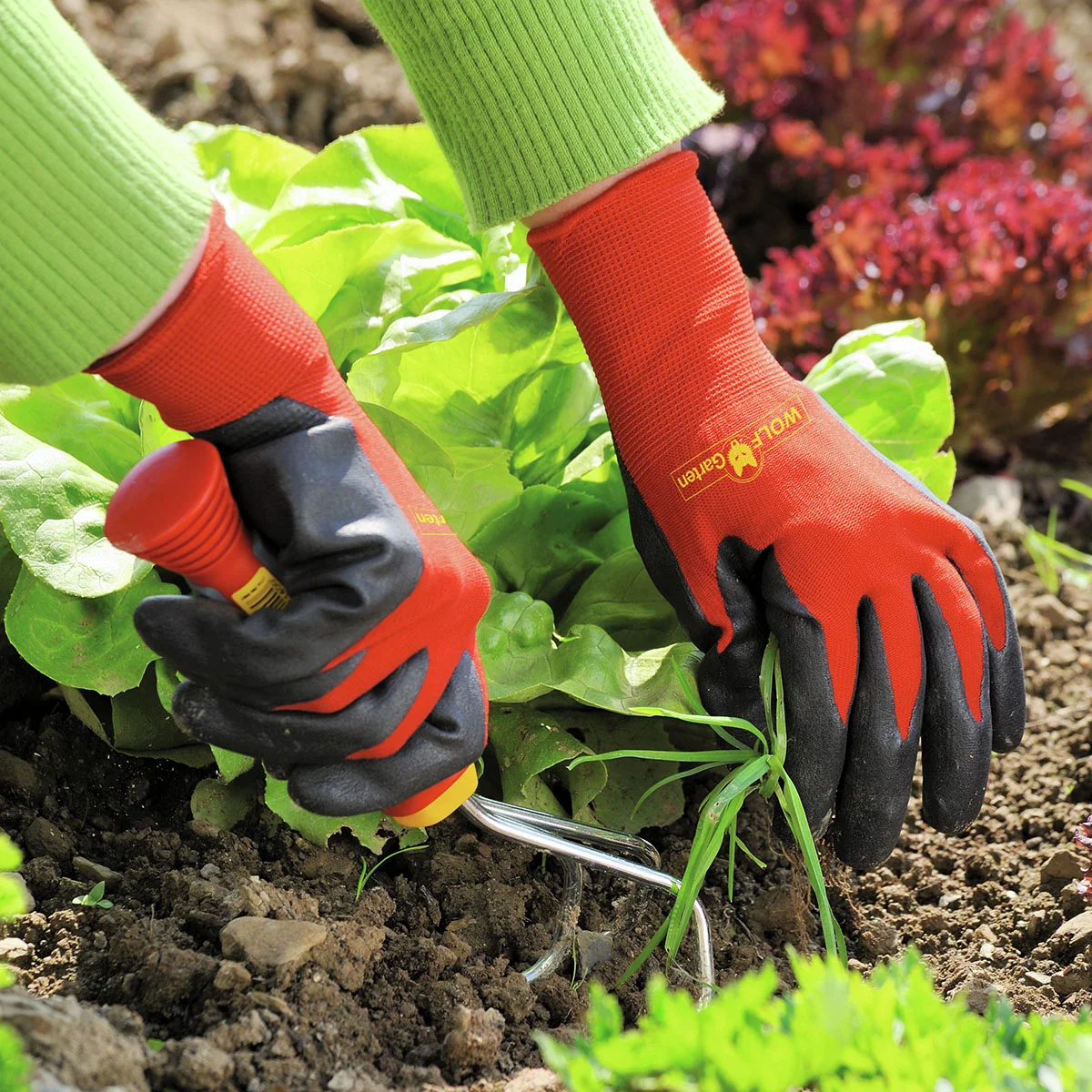 Beet-Handschuh Boden GH-BO 8, Größe 8 Beet-Handschuh Boden GH-BO 8, Größe 8