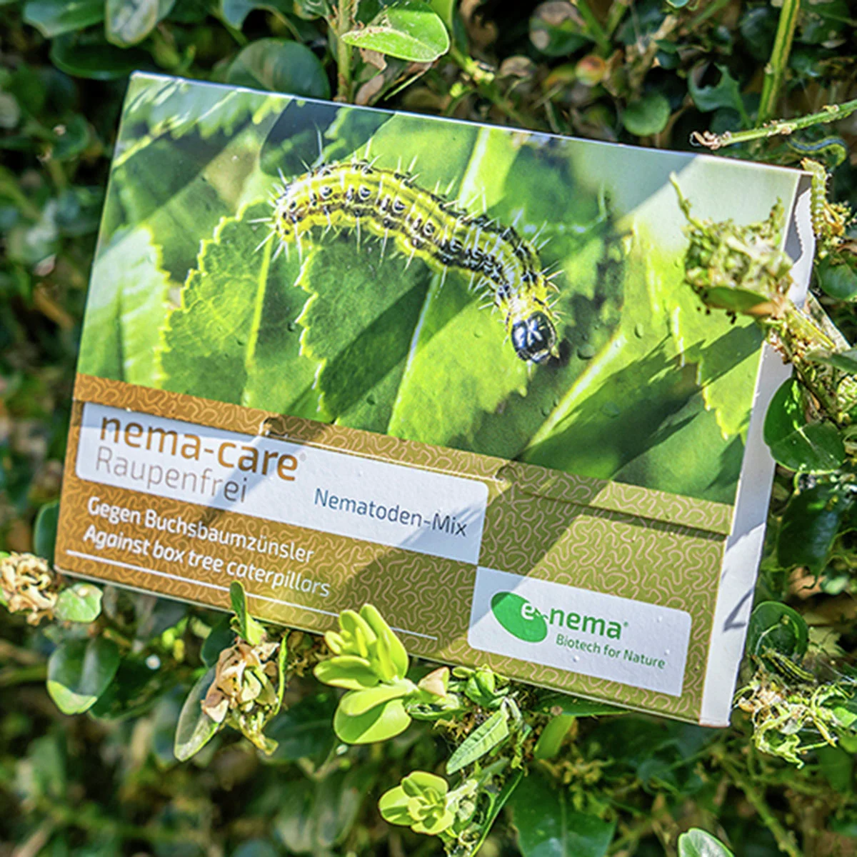 Nemacare - Nematode gegen Raupen
