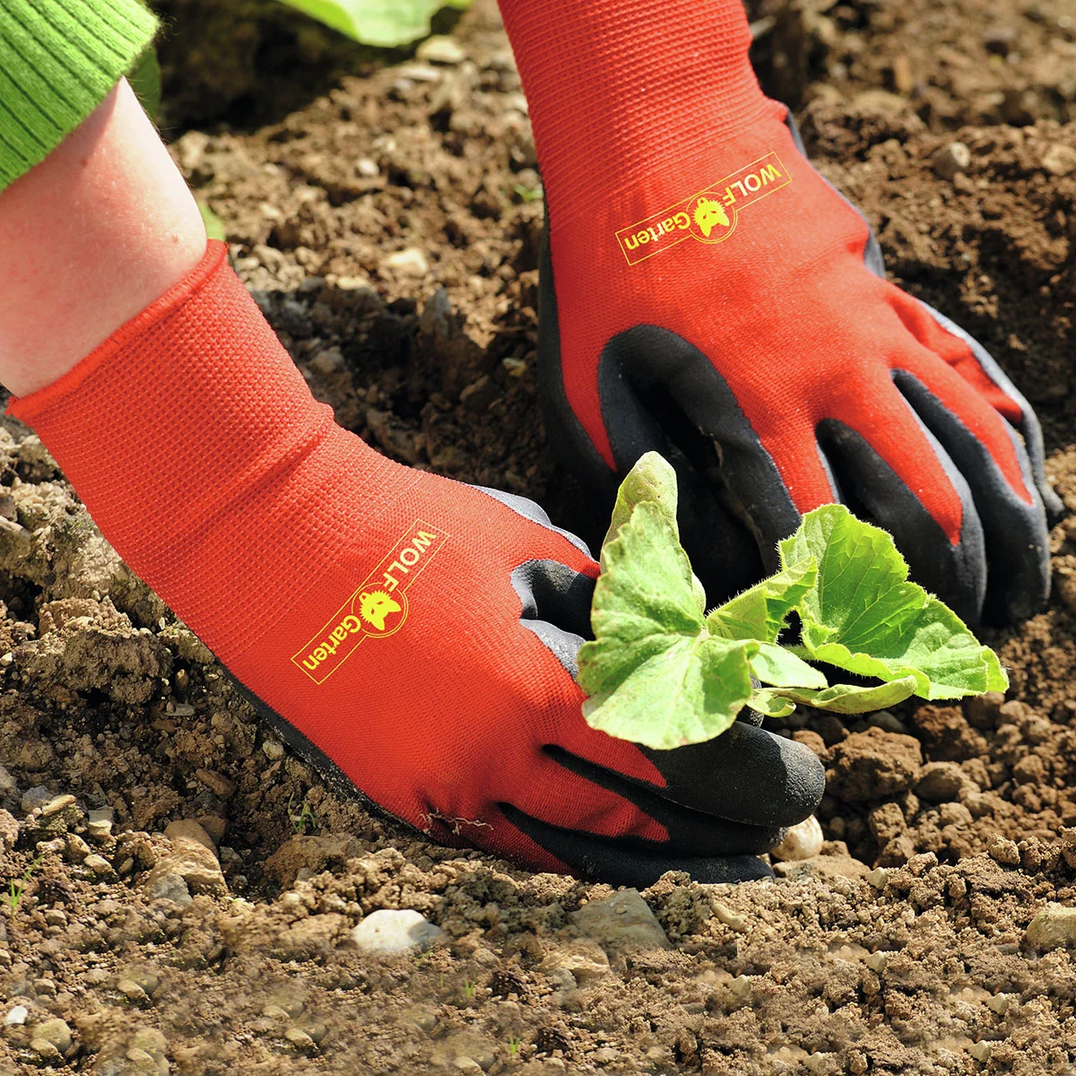 Beet-Handschuh Boden GH-BO 8, Größe 8 Beet-Handschuh Boden GH-BO 8, Größe 8