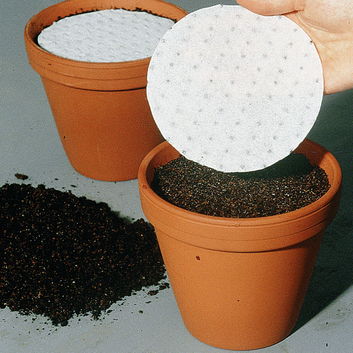 Saatscheiben-Trio Küchenkräuter, 10 cm Durchmesser