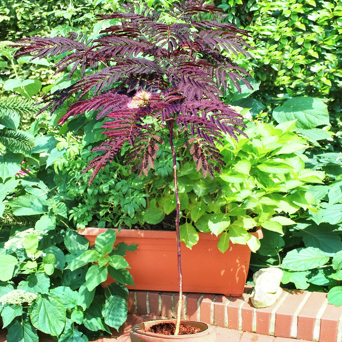 Seidenbaum Summer Chocolate Seidenbaum Summer Chocolate