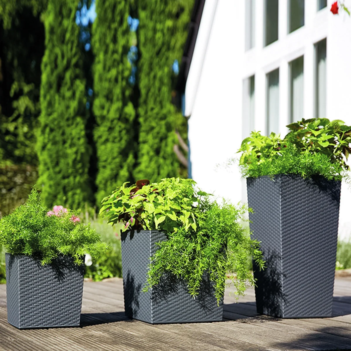 Pflanzgefäß Paris,  25x25x46,5 cm Pflanzgefäß Paris,  25x25x46,5 cm