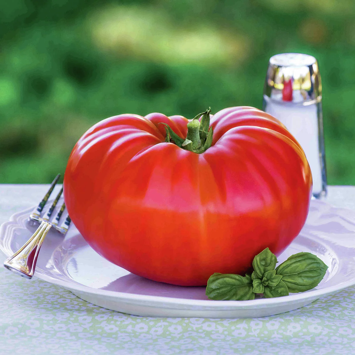 Tomatensamen Gigantomo F1