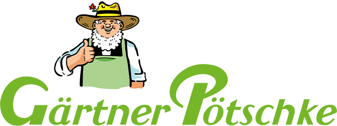 Zur Startseite gehen