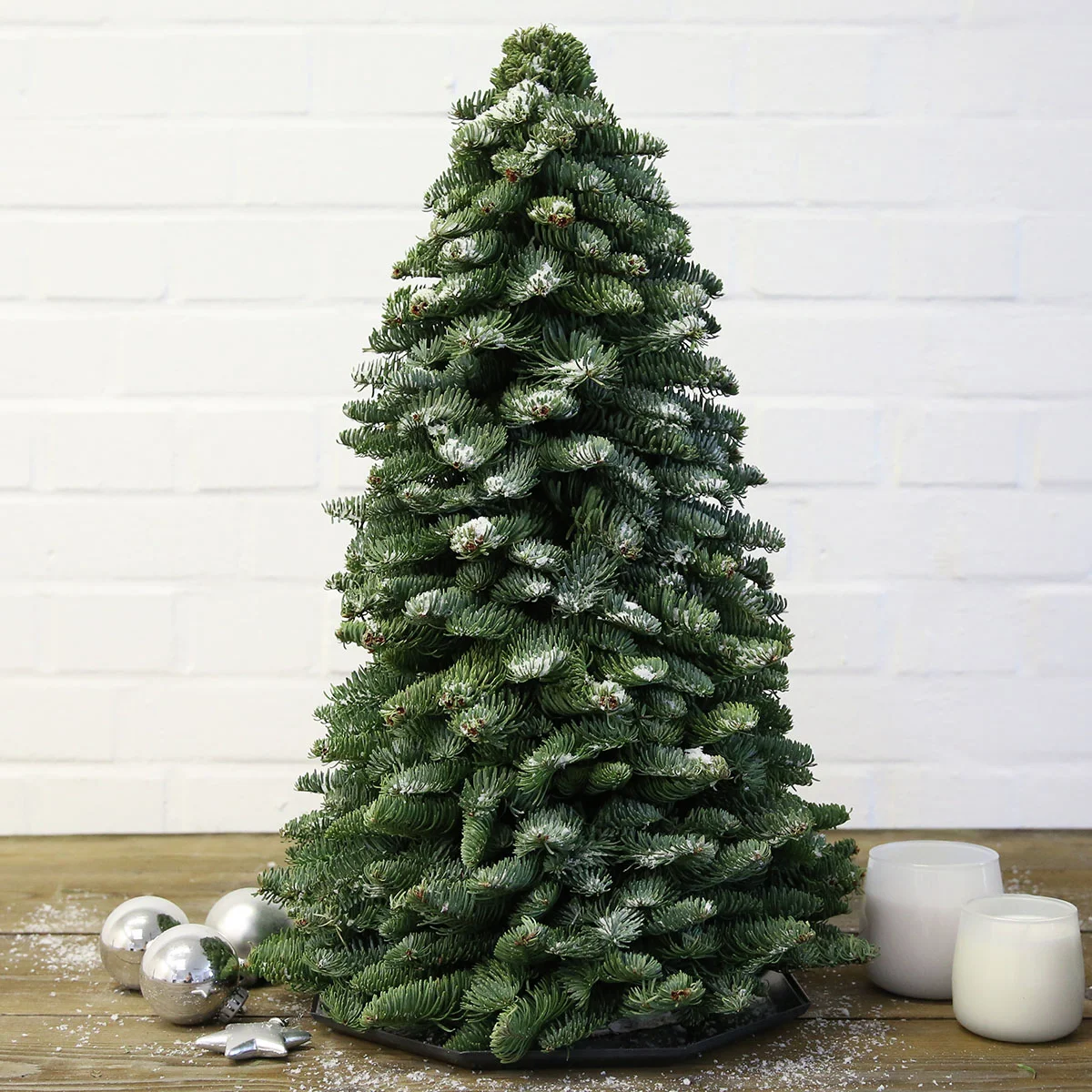 Nobilis-Weihnachtsbäumchen, groß Nobilis-Weihnachtsbäumchen, groß