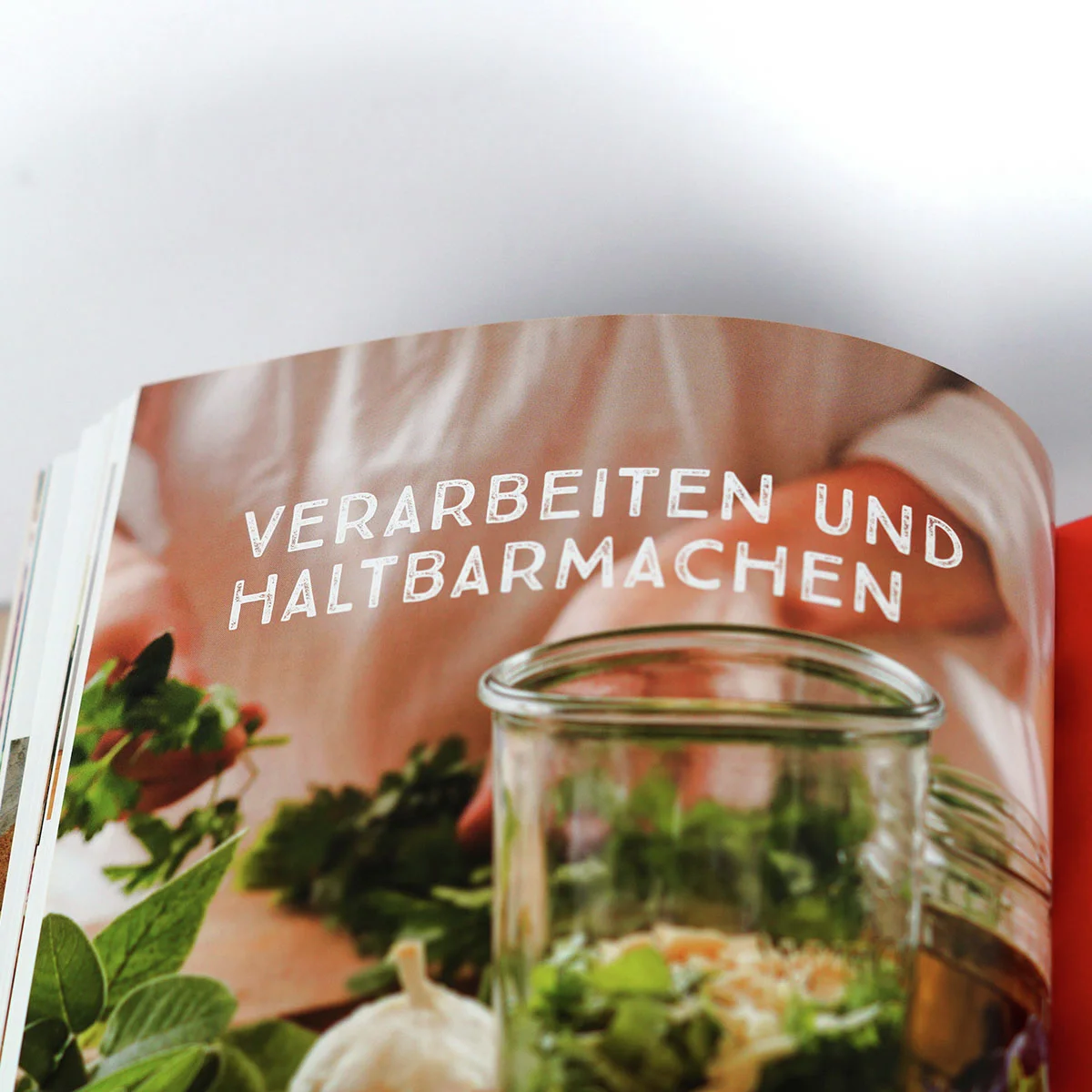 Praxishandbuch Natürlich Konservieren