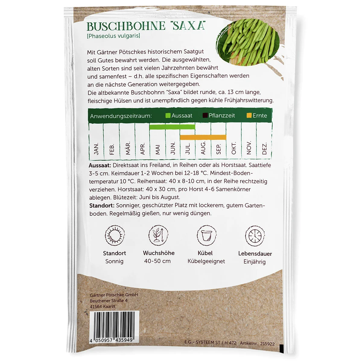 Buschbohnensamen Saxa