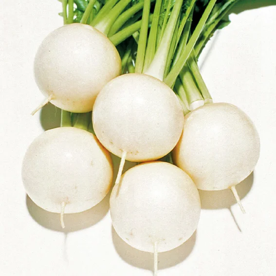 Mairübensamen Natsu Komachi F1