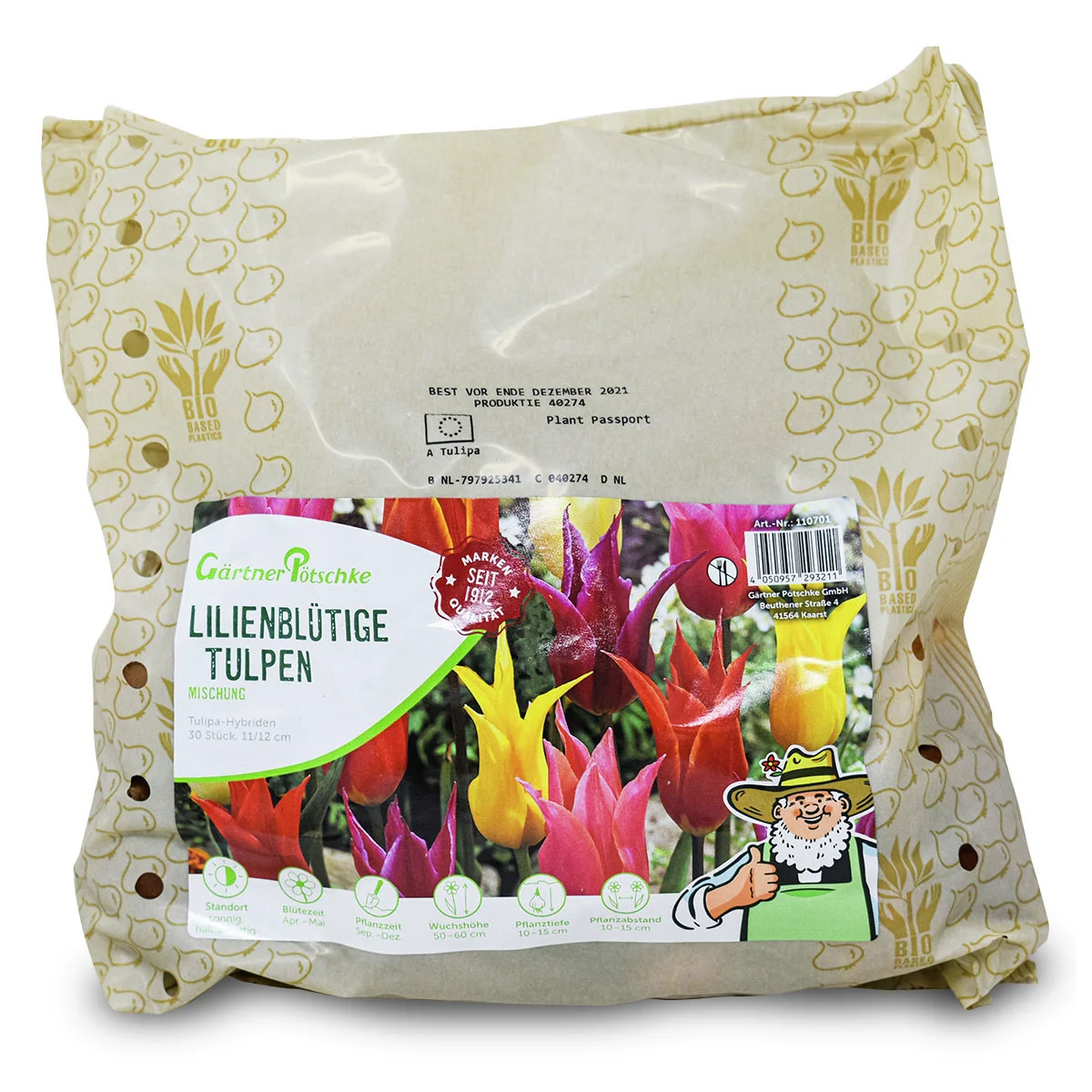 Mischung lilienblütige Tulpen