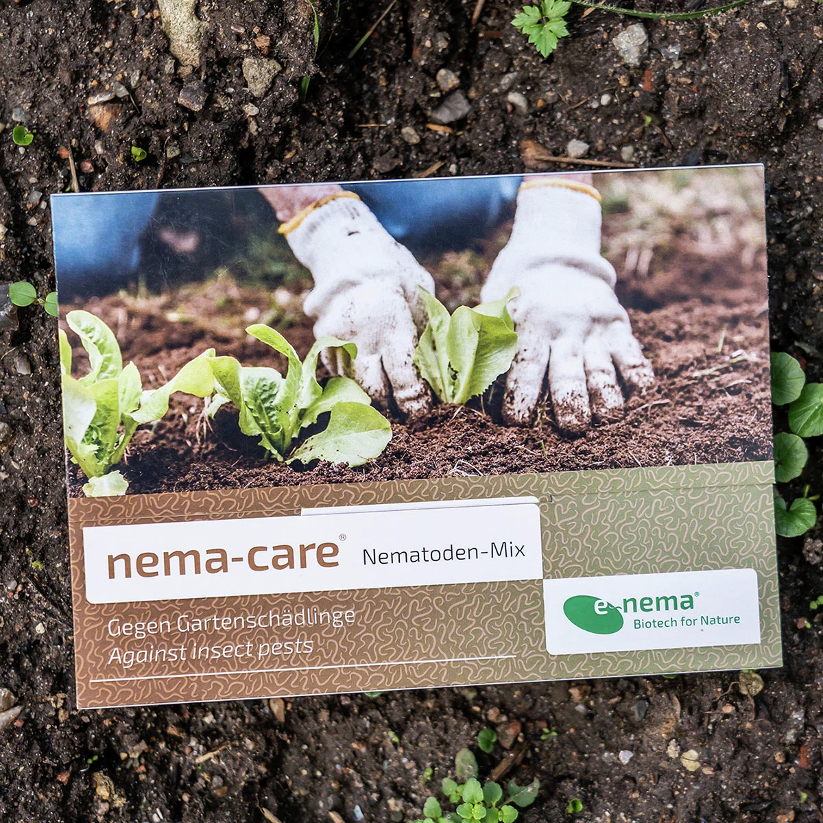 Nemacare - Nematode gegen Schädlinge im Gemüse