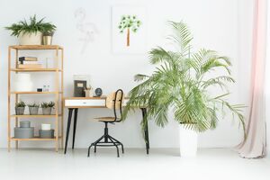 Ein kleiner Arbeitsbereich in der Wohnung mit Zimmerpflanzen