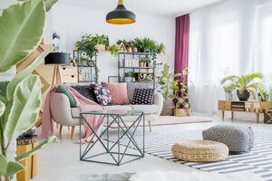 Ein modernes Wohnzimmer mit Zimmerpflanzen