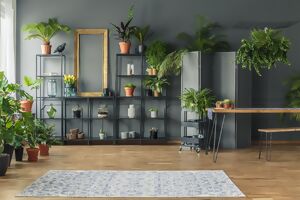 Blick auf eine Wohnwand mit vielen Zimmerpflanzen
