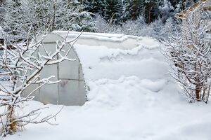 Gewächshaus im Schnee