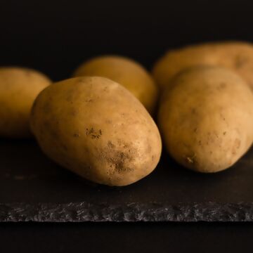 Kartoffel-Ratgeber