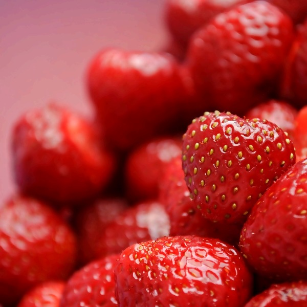 Erdbeeren-Ratgeber