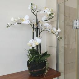 Kunstpflanze Orchidee im Erdballen mit Farn, creme 