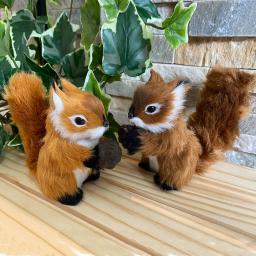 Eichhörnchen-Set mit Nuss 