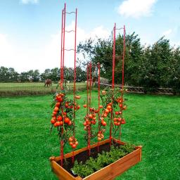 Tomaten-Rankgitter L, 2-teilig, Höhe 158 cm 