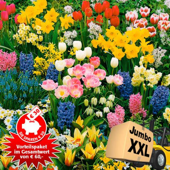 Blumenzwiebel-Vorteilspaket Jumbo XXL
