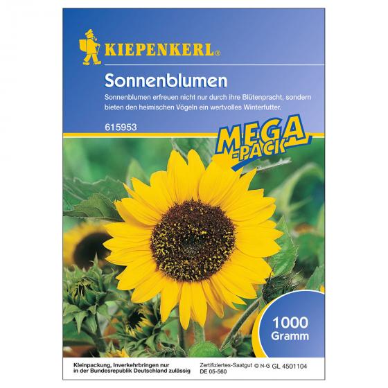 Sonnenblumen, 1 kg-Megapack
