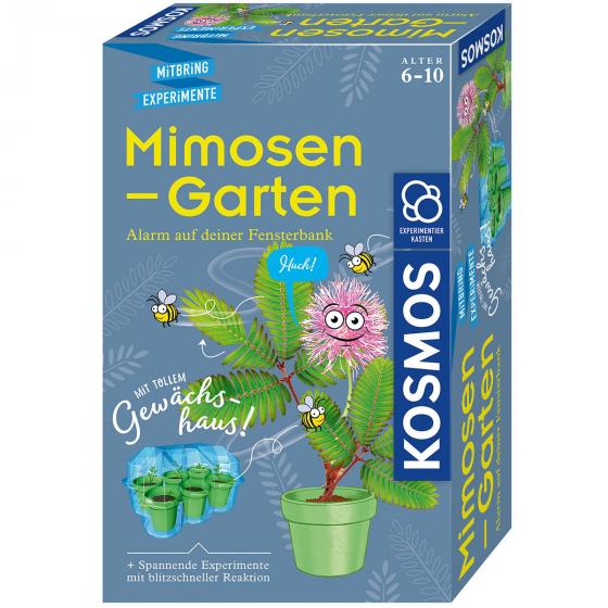 Mimosen-Garten
