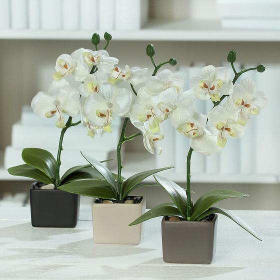 Kunstpflanze Orchideen im Keramiktopf, 3er-Set
