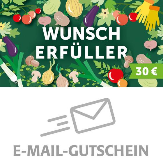 30,- Euro Online-Geschenk-Gutschein WUNSCH ERFÜLLER
