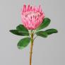 Kunstpflanze Protea, pink | #1