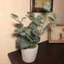 Kunstpflanze Eukalyptus im grauen Steintopf, 30 cm | #1