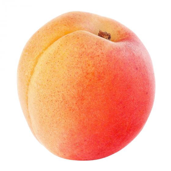 Zwergobst Aprikose Orange Beauty, im ca. 28 cm-Topf
| #2