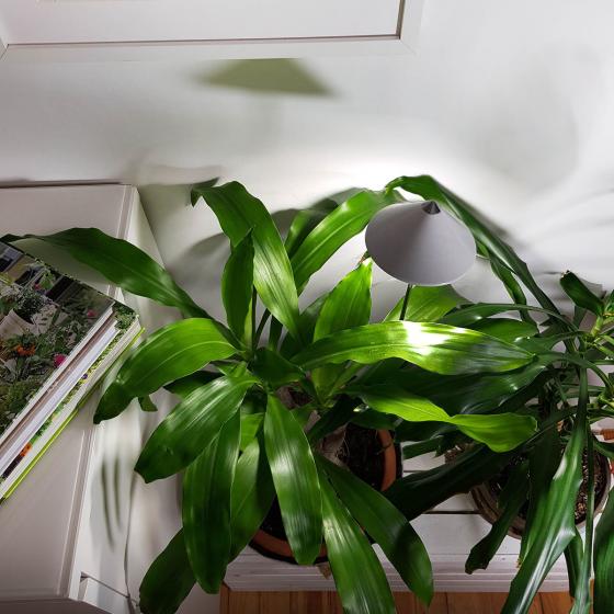Sunlite Pflanzenlampe, 7 W, 28-100 cm, Ø 11, Kabel 4 m,Aluminium, weiß
| #2