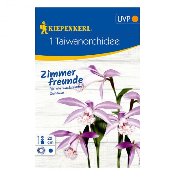 Taiwan-Orchidee
| #2