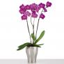 Keramik-Orchideengefäß, rund, 17,3x13,6x13,6 cm, silber | #2