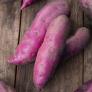 Süßkartoffelpflanze Erato Violet, im ca. 13 cm-Topf | #2