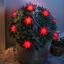 LED-Lichterkette Weihnachtstern, rot | #2