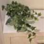 Kunstpflanze Efeuhänger, 45 cm, weiß-grün | #2