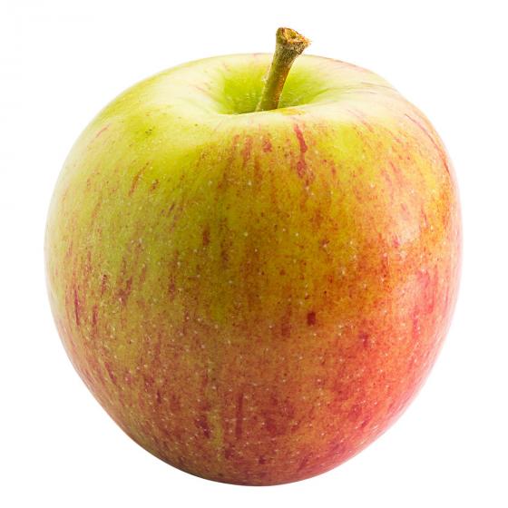 Zwergobst Apfel Delicado, im ca. 28 cm-Topf
| #3