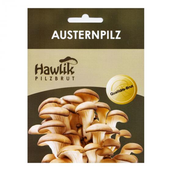 Dübel-Pilzkultur Austernpilze
| #3