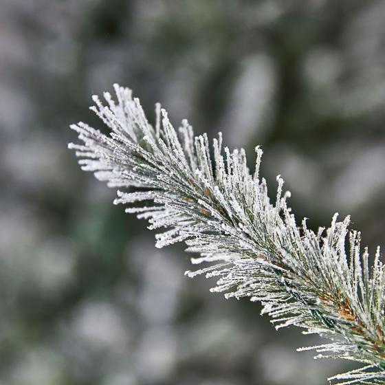 Künstlicher Weihnachtsbaum Fichte, Schneeoptik, 180 cm
| #4