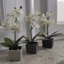 Kunstpflanze Orchideen im Keramiktopf, 3er-Set | #4