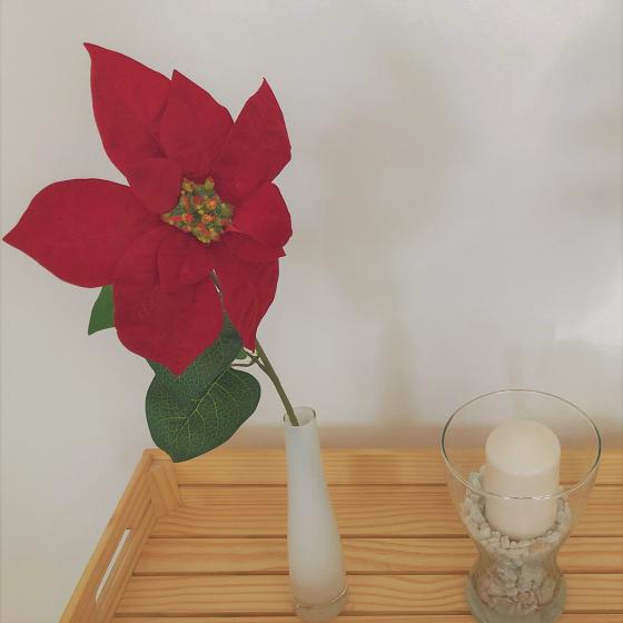 Kunstpflanze Poinsettia, rot
| #5