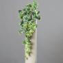 Kunstpflanze Efeuhänger, 45 cm, weiß-grün | #6