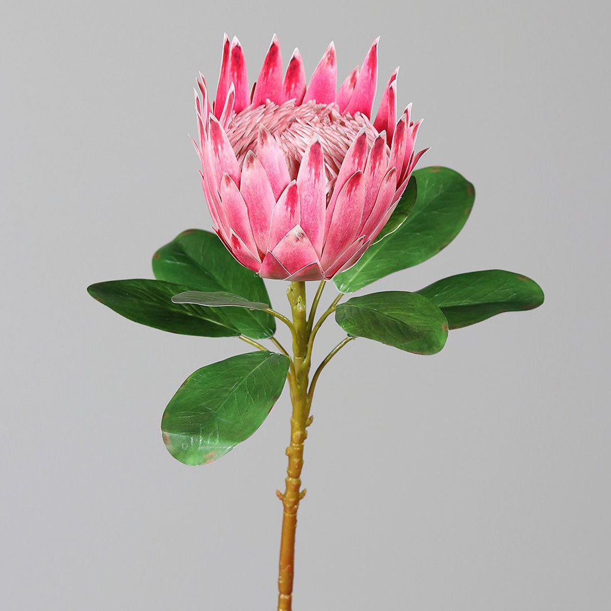 Kunstpflanze Protea, pink
