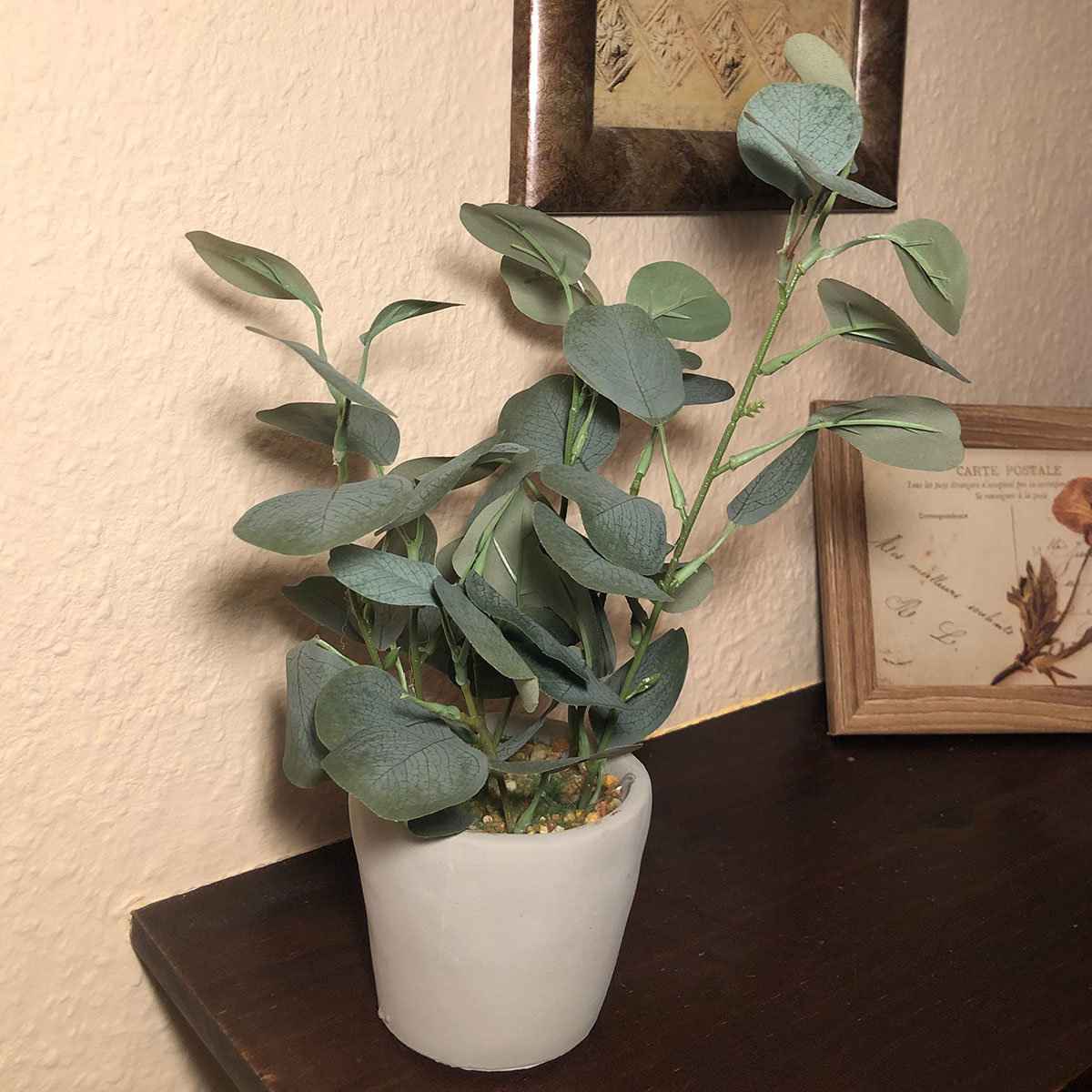 Kunstpflanze Eukalyptus im grauen Steintopf, 30 cm
