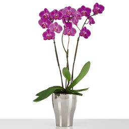 Keramik-Orchideengefäß, rund, 17,3x13,6x13,6 cm, silber 