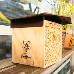 Insektenhotel BeeHome mit Gutschein für Mauerbienenkokons 