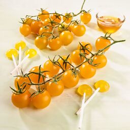 Tomatenpflanze Solena Sweet Yellow, veredelt, im ca. 12 cm-Topf 