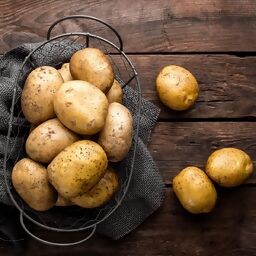 Kartoffelsaatgut - Die TOP Produkte unter der Vielzahl an analysierten Kartoffelsaatgut