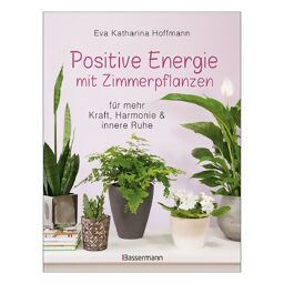 Positive Energie mit Zimmerpflanzen 